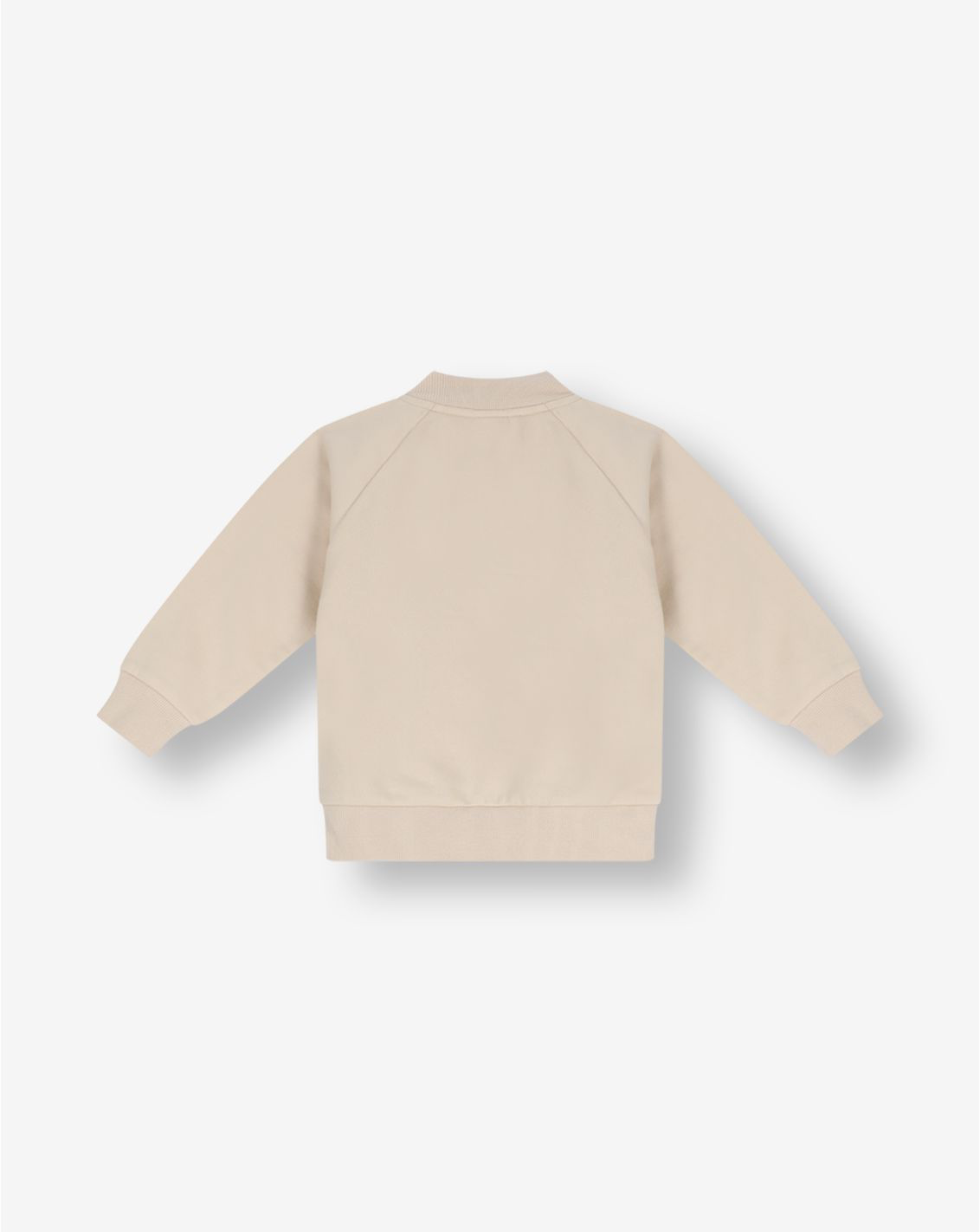 Boys Hooded Sweatshirt FB5