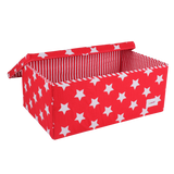 Large Multipurpose Box 60x40x25cm