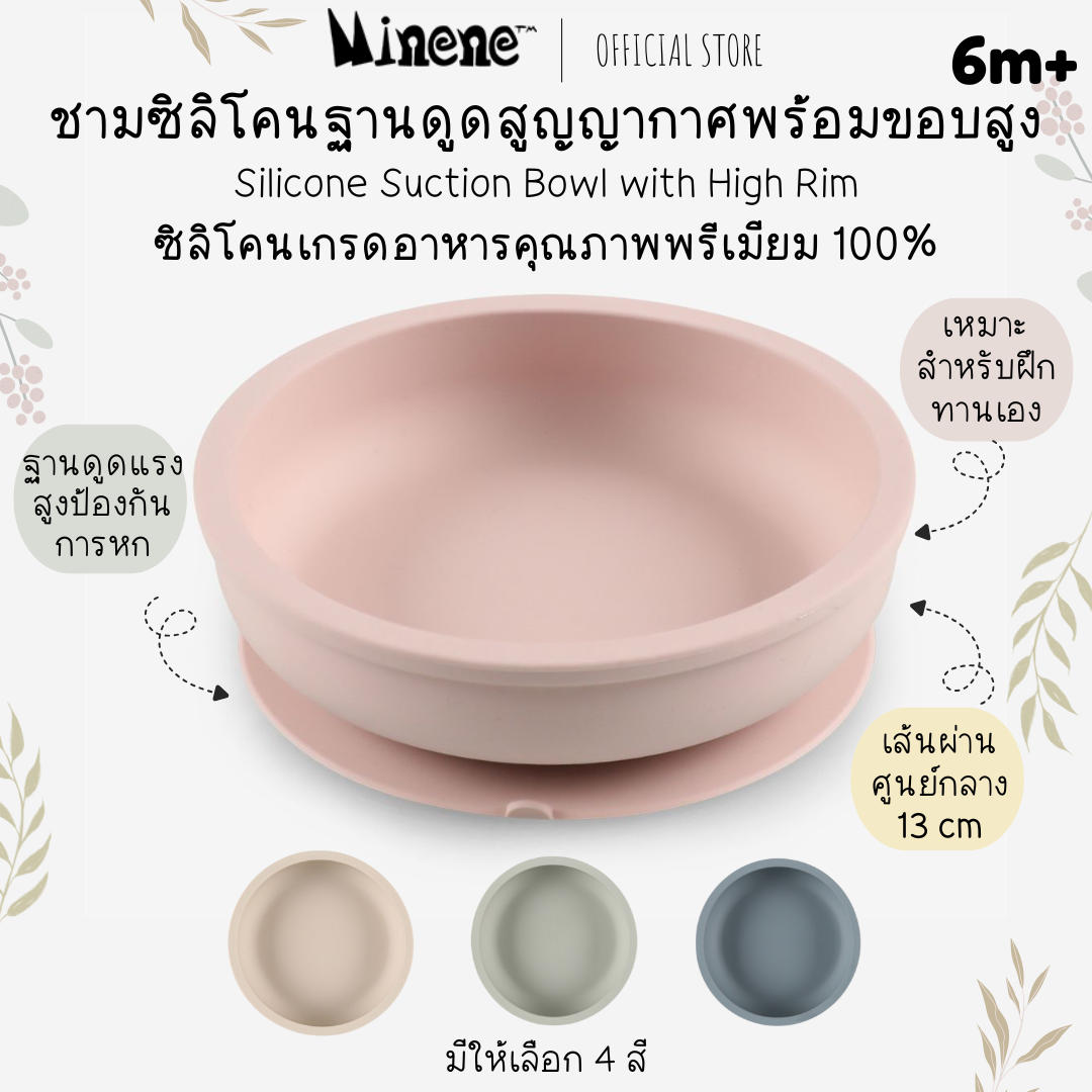Silicone Bowl
