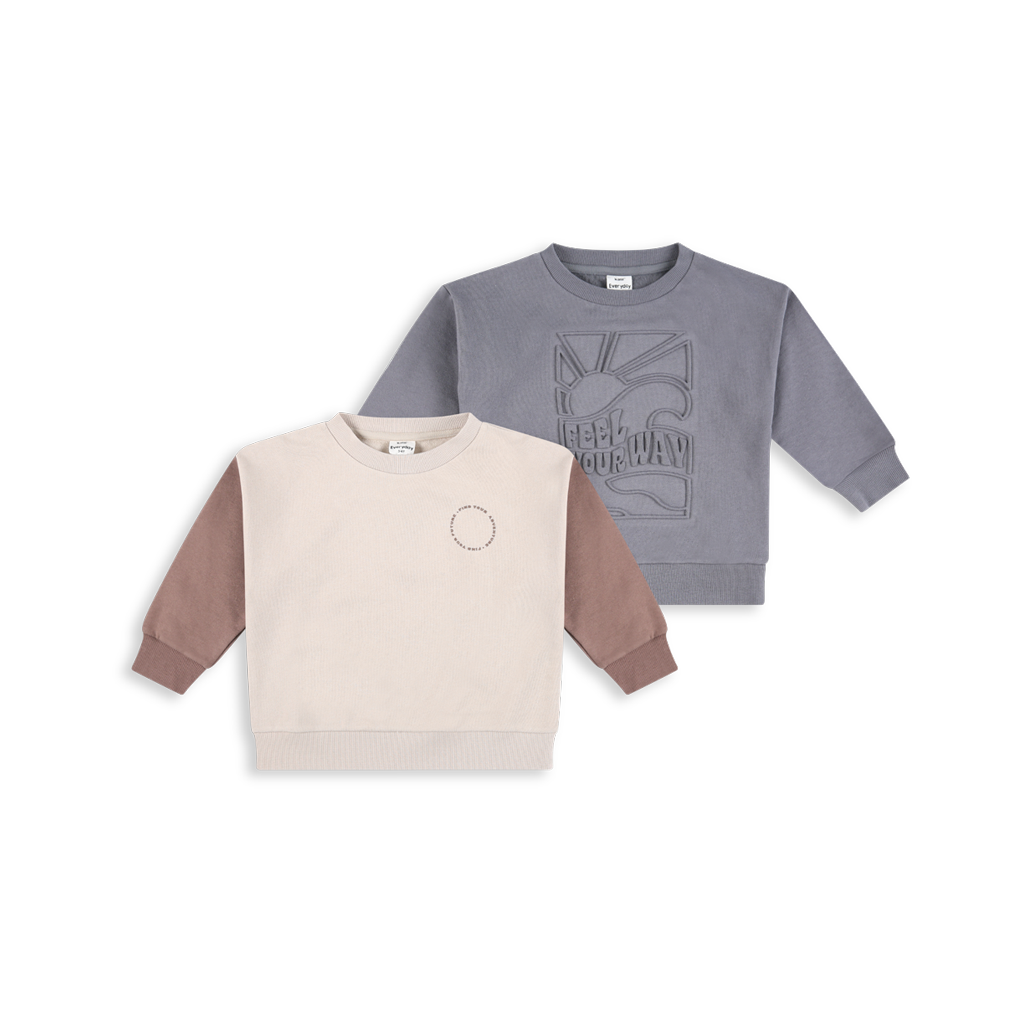 2 Sweatshirts Pack FB15
