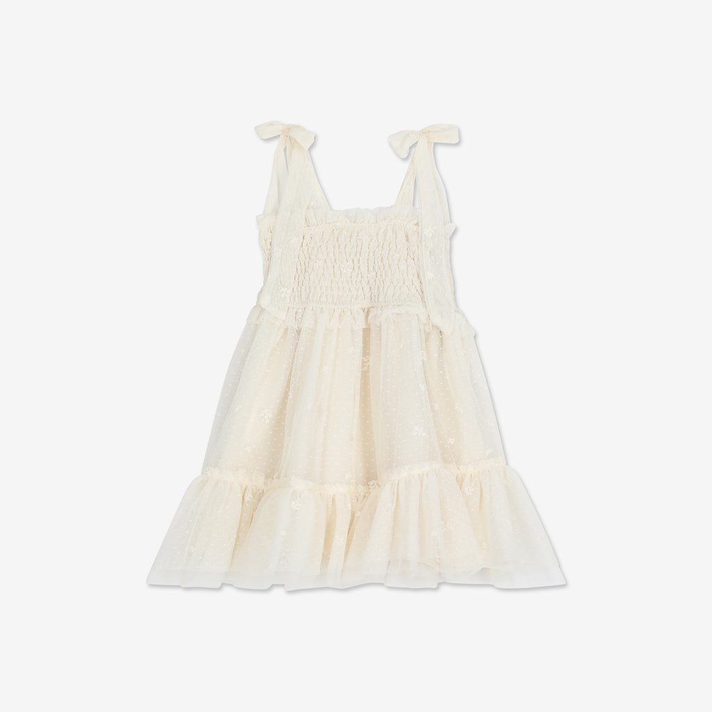 Embroidered Tulle Dress H