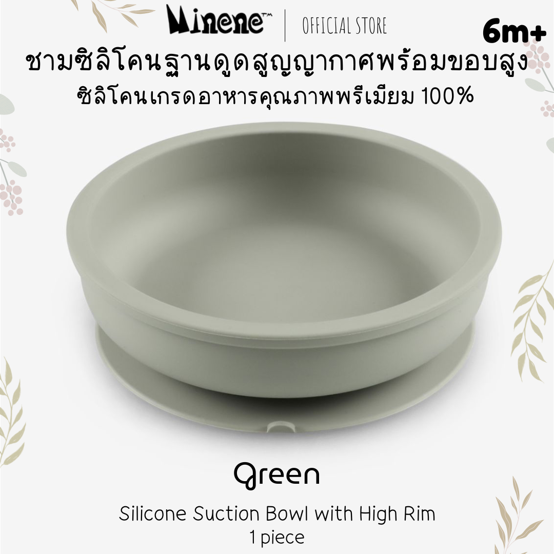 Silicone Bowl