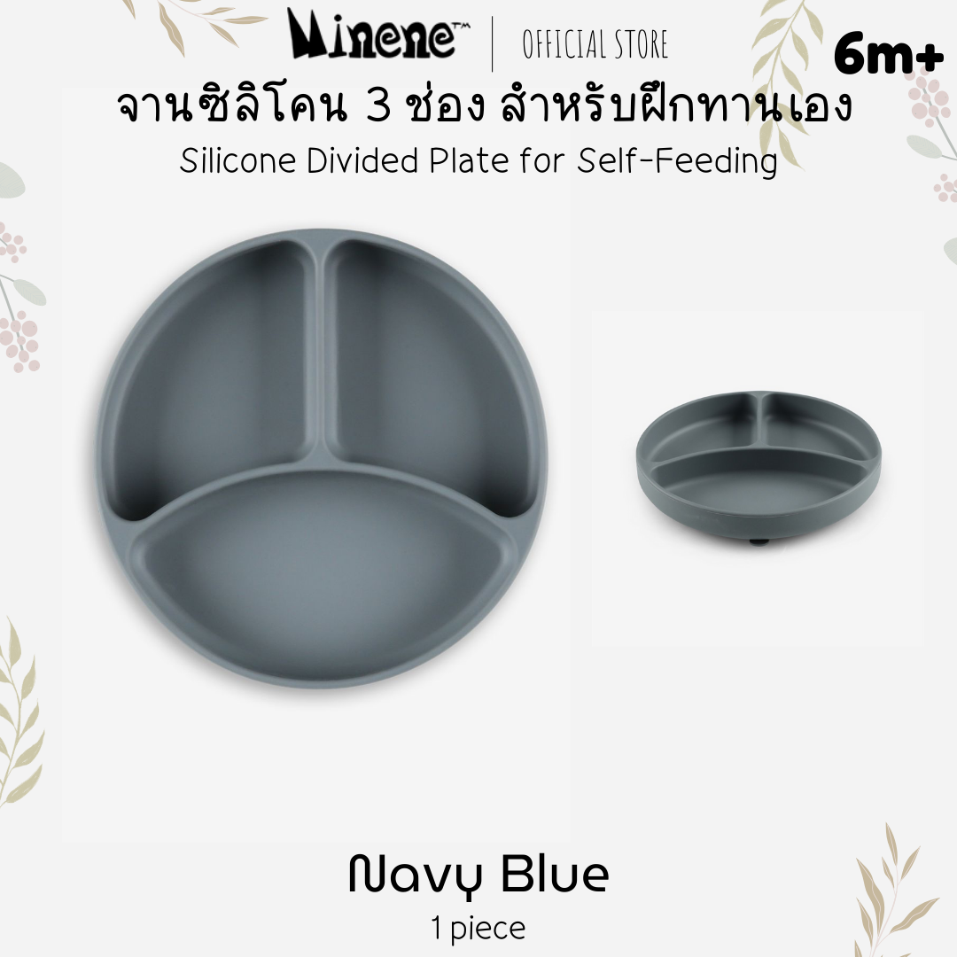 แผ่นซิลิโคนแบบแบ่งช่อง