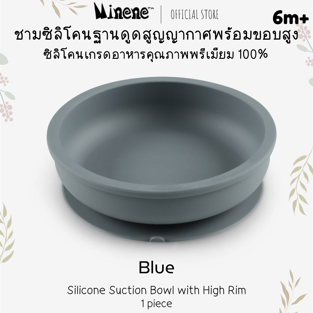 Silicone Bowl