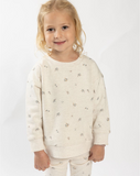 2 Sweatshirts Pack FB8