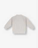 Boys Hooded Sweatshirt FB5