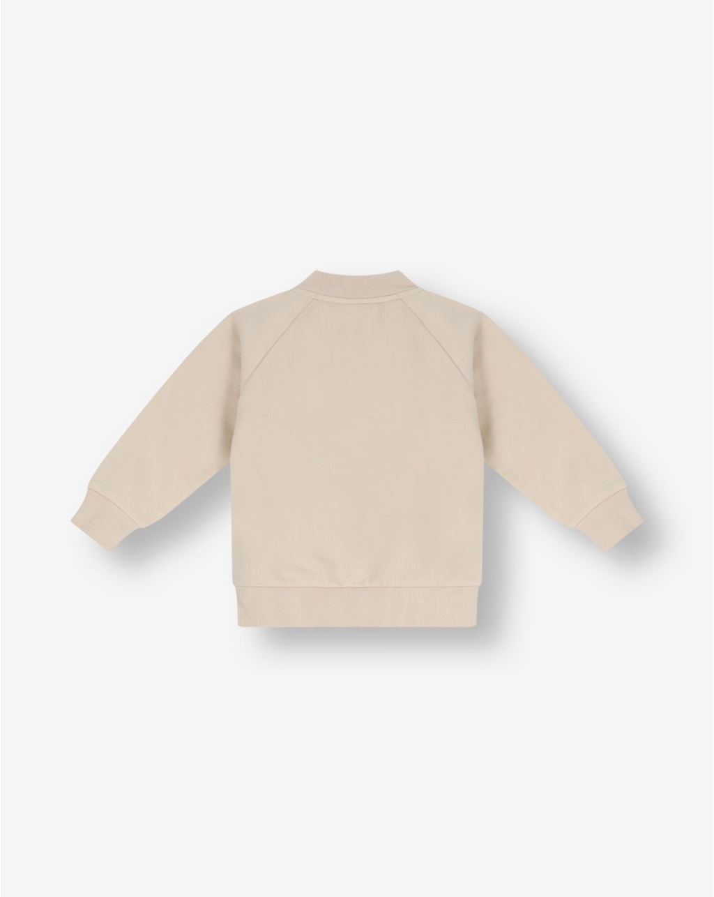 Boys Hooded Sweatshirt FB5