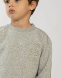 2 Sweatshirts Pack FB3