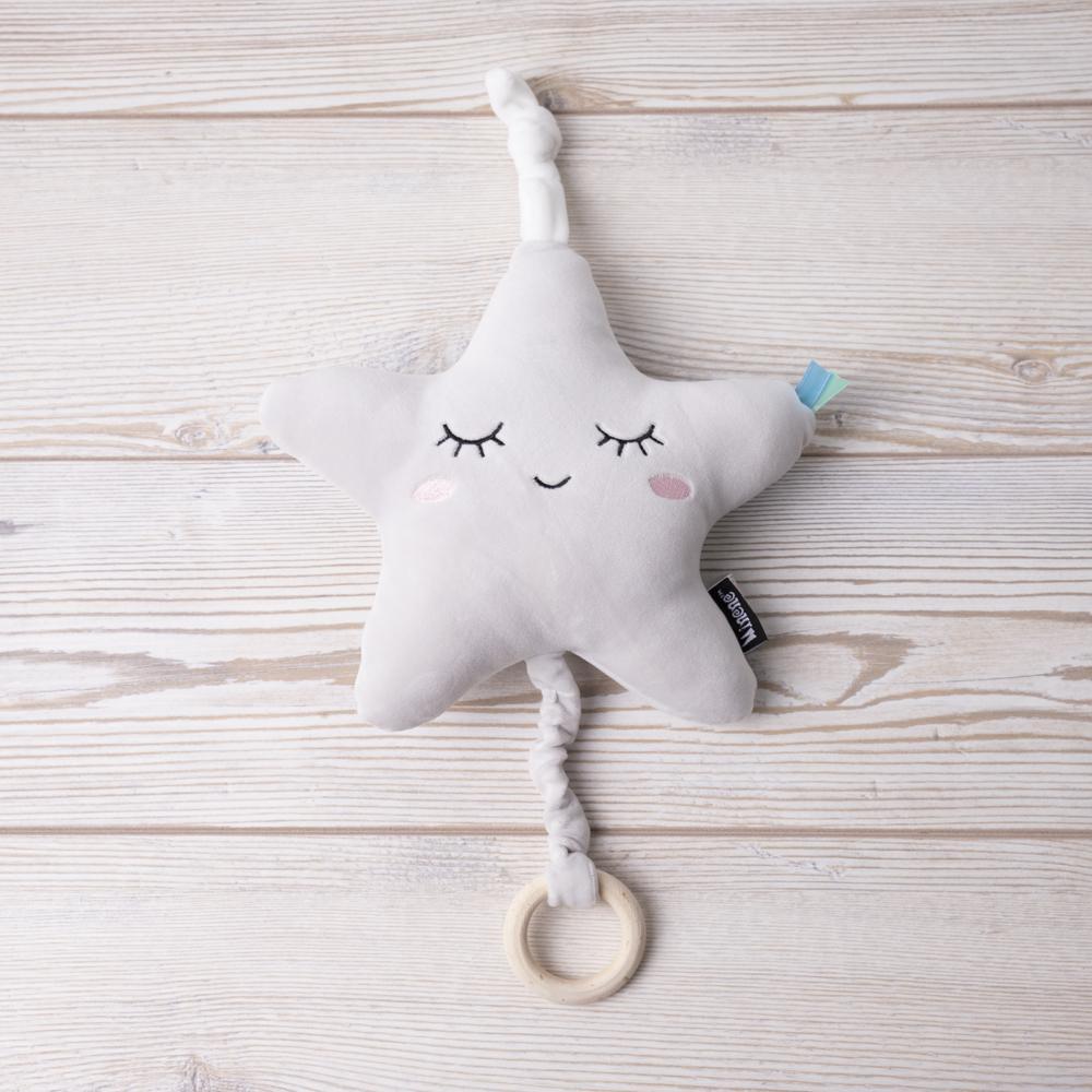 Stylish Newborn Gift Basket