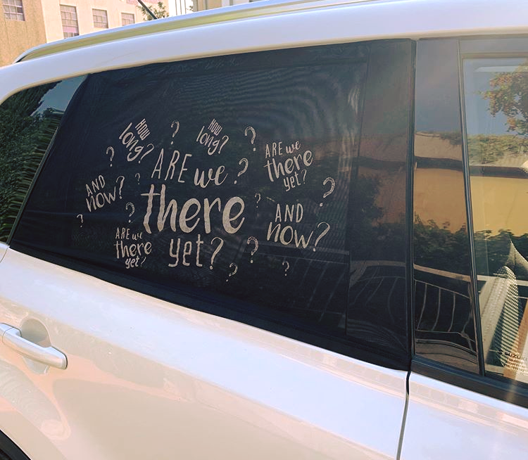 PAIR OF CAR WINDOW SUNSHADE