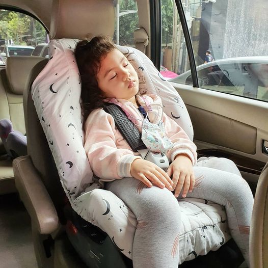 Car Seat Cover - Free Size