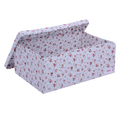 大型多目的ボックス 60×40×25cm