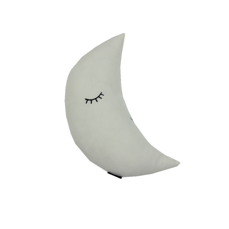 Sweet Dreams Velvet Pillow