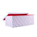 Large Multipurpose Box 60x40x25cm