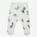 Pants BASIC (6)