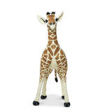 Standing Baby Giraffe