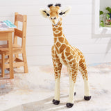 Standing Baby Giraffe