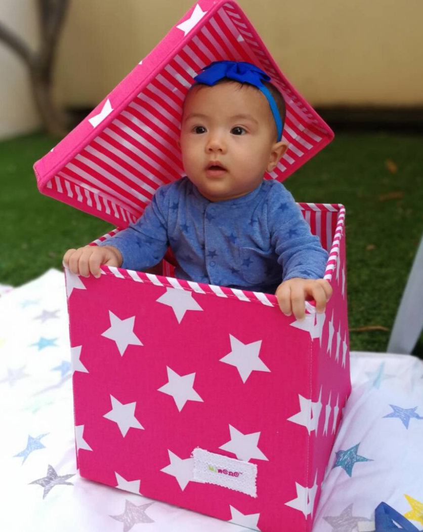 Square Multipurpose Box 29x29x29cm