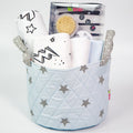 Mini Newborn Gift Basket for The Little One