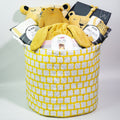 Special Gift Basket to Welcome A New Baby