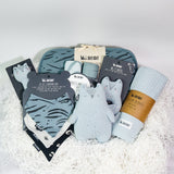 Blue Fox Newborn Gift Set